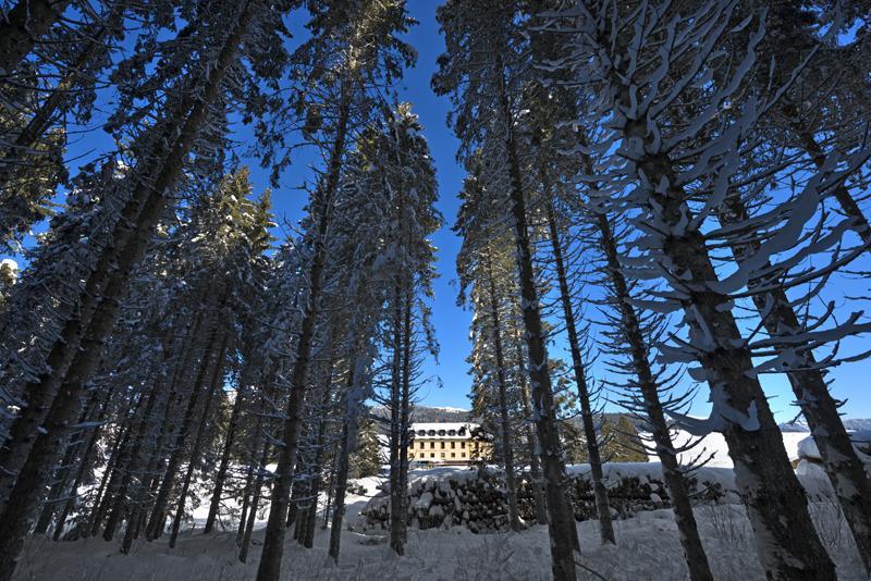 Hotel Vezzena Malga Postesin Esterno foto